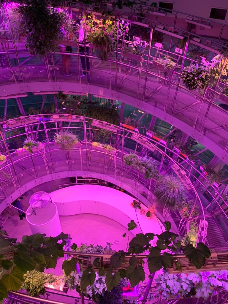 Plants